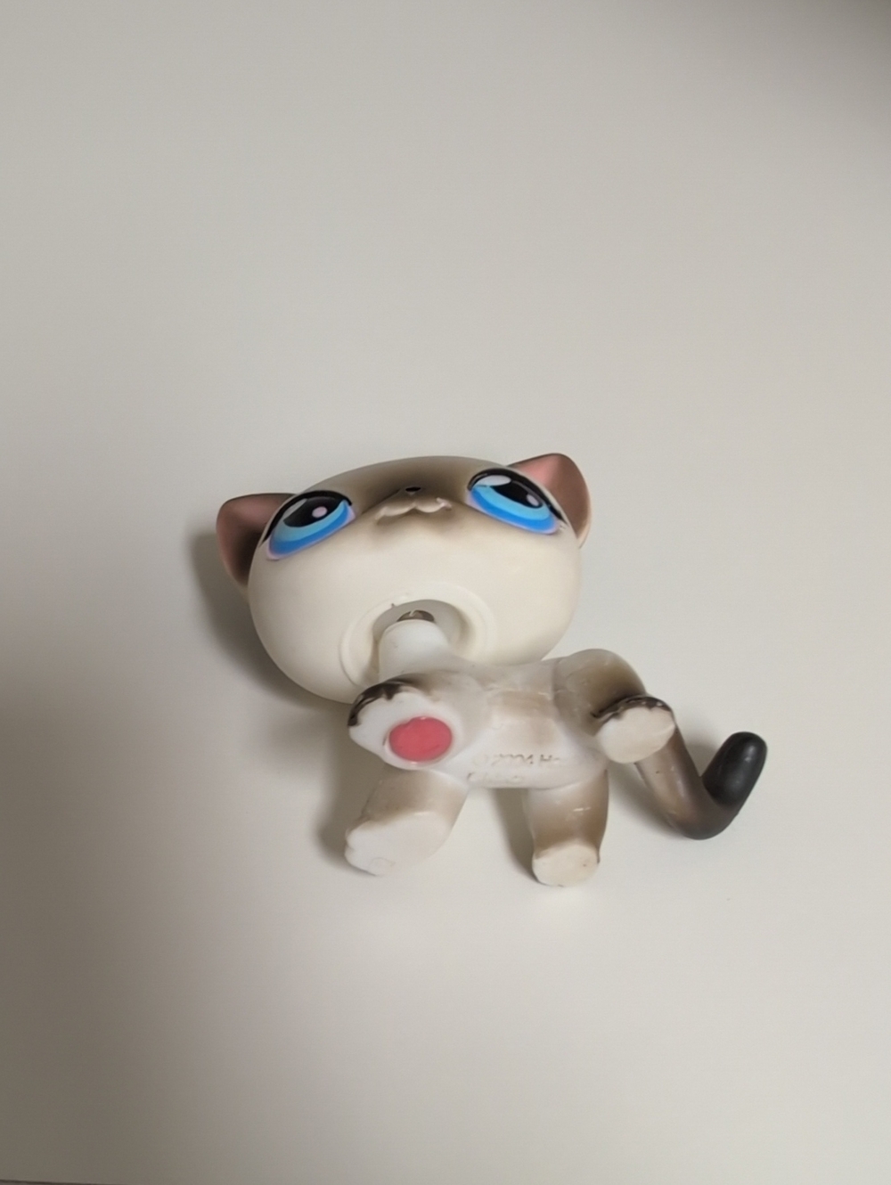 Littlest Pet Shop Shorthair Cat #5 Authentic Hasbro Main 5 Collectible Figure - Picture 5 of 5